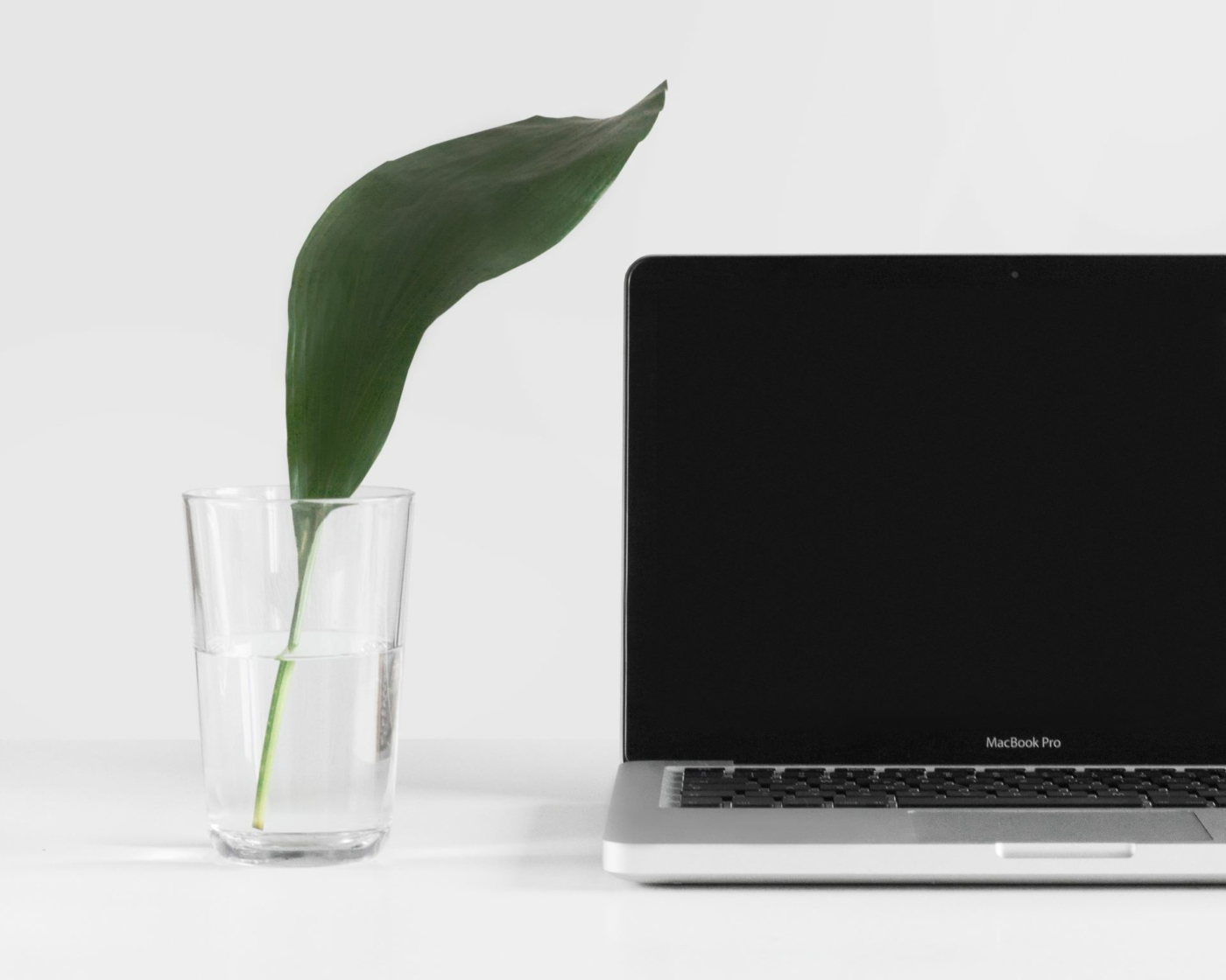 sarah-dorweiler-127187-unsplash3