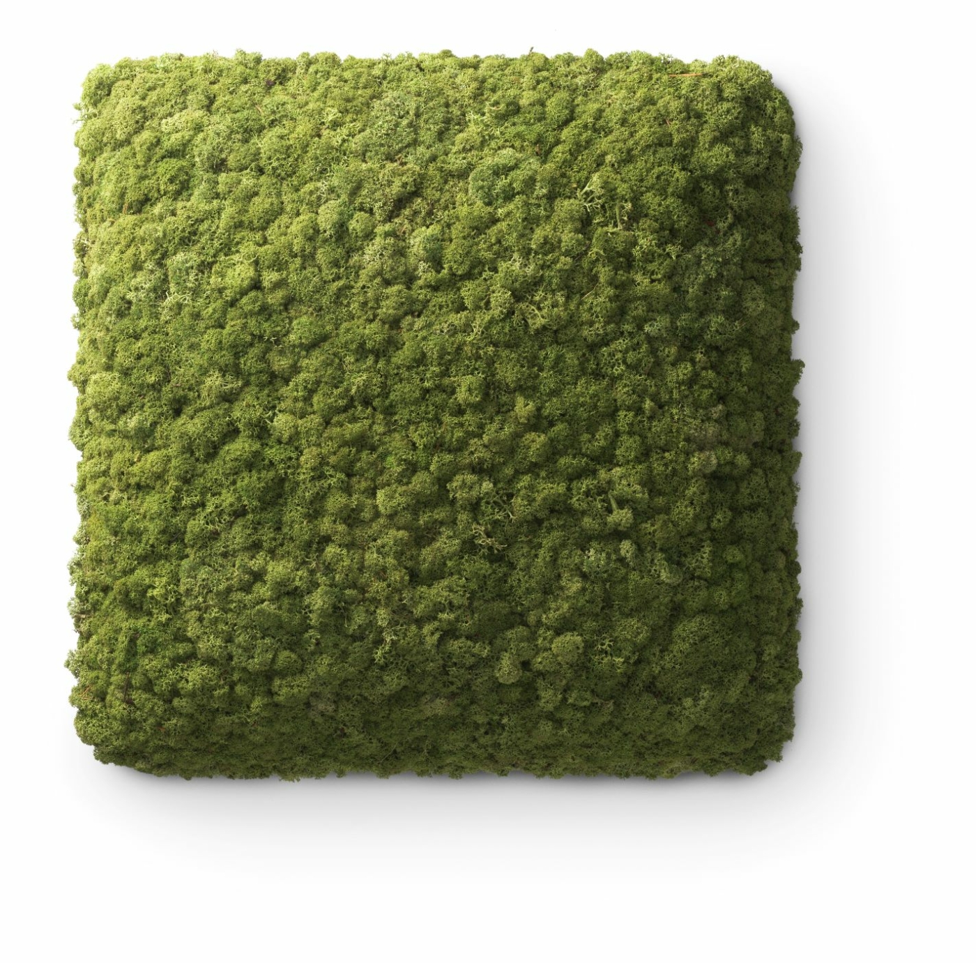 Nordgrona_C_SQ-45-Apple_1