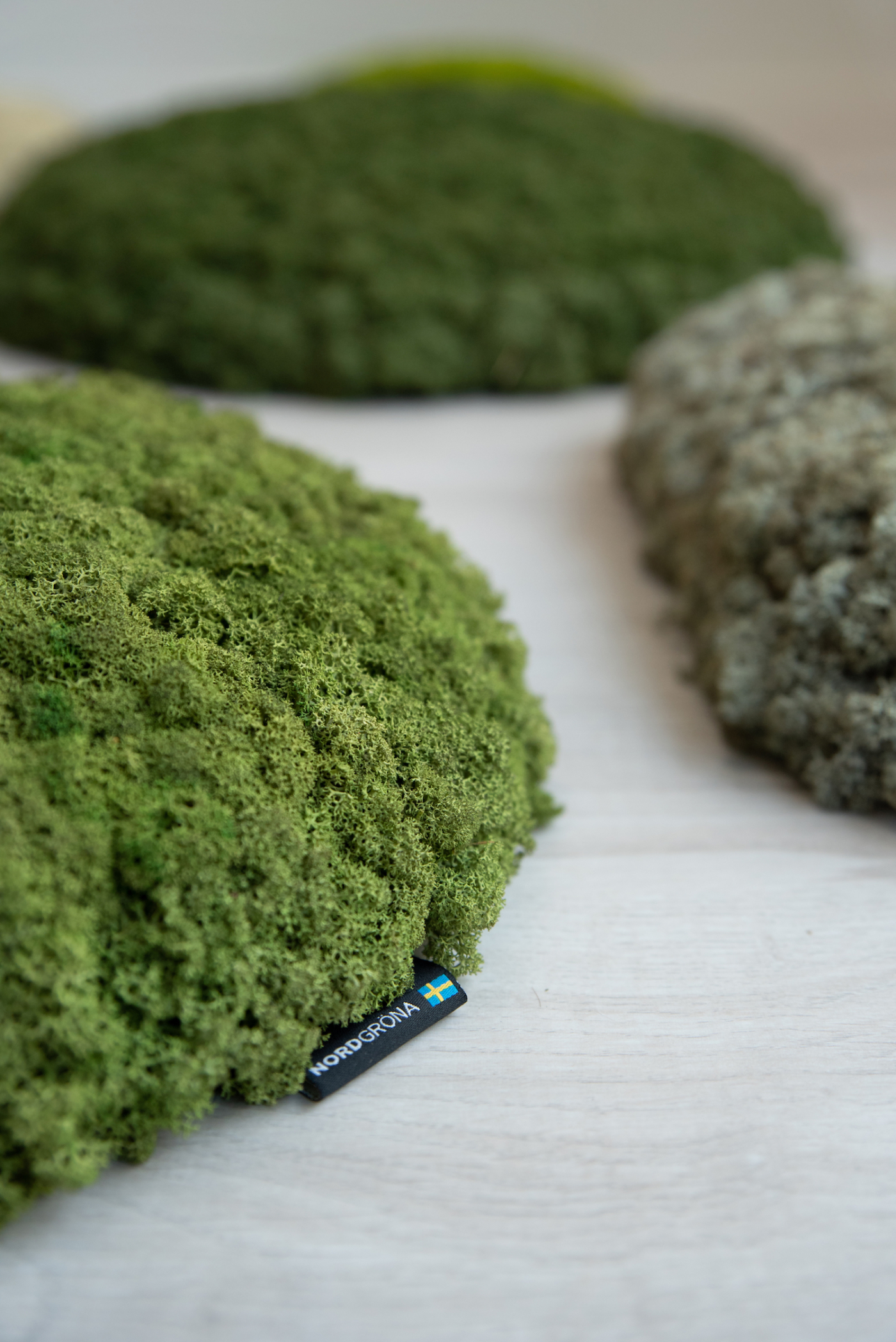 HighRes Nordgrona Convex 009