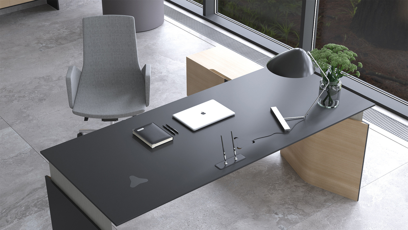 executive furniture MOVE&LEAD interiors (07)